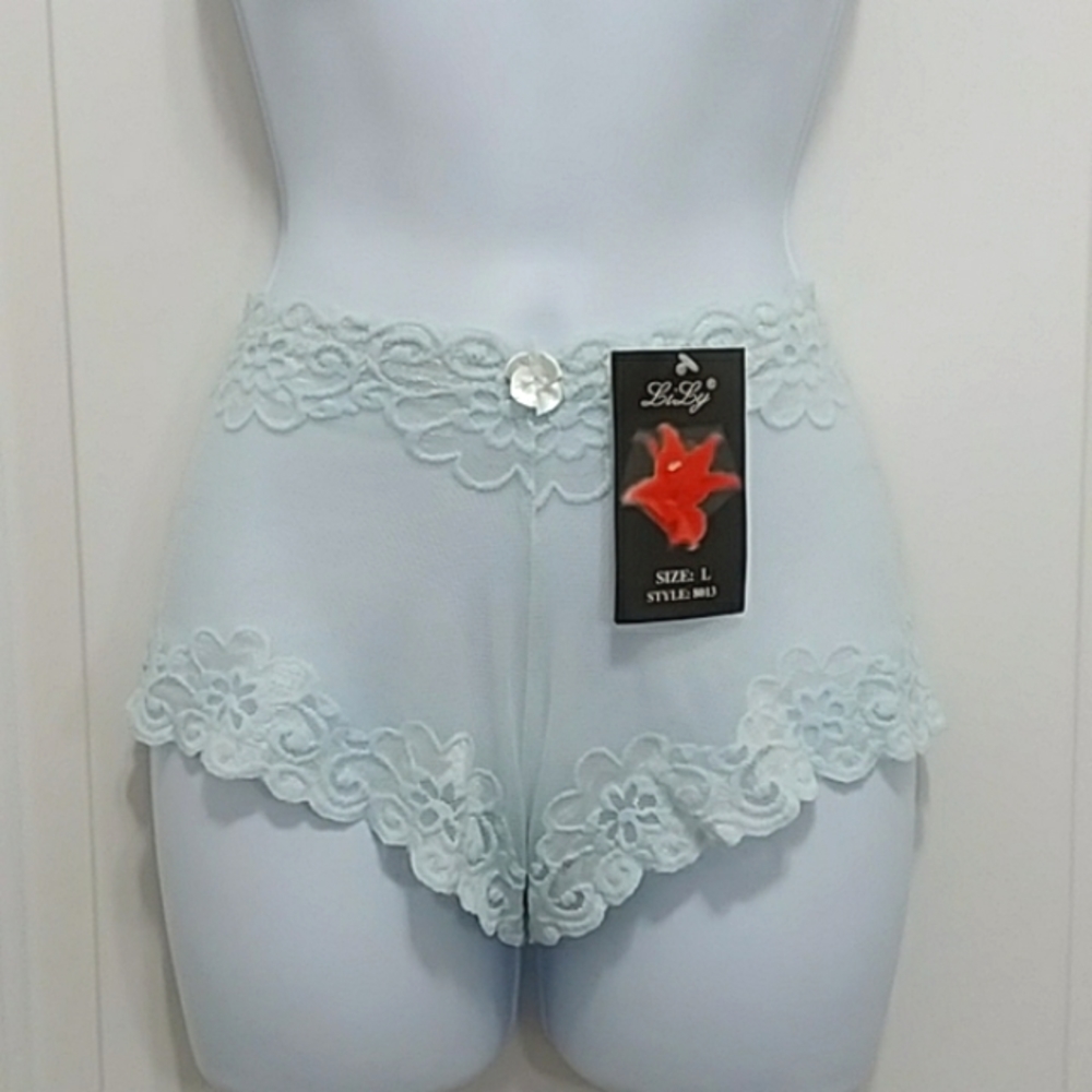 Lily Light Blue Lingerie Lace Panty. NWT